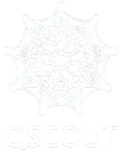 QSCOUT